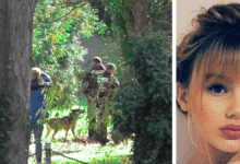 Der rätselhafte Rebecca Reusch-Fall: Ein Überblick 23 Rebecca Reusch-Fall