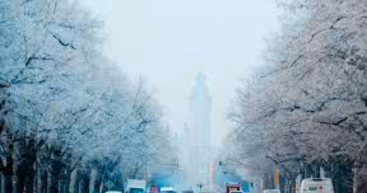 Untitled design 2025 10 23T153212.255