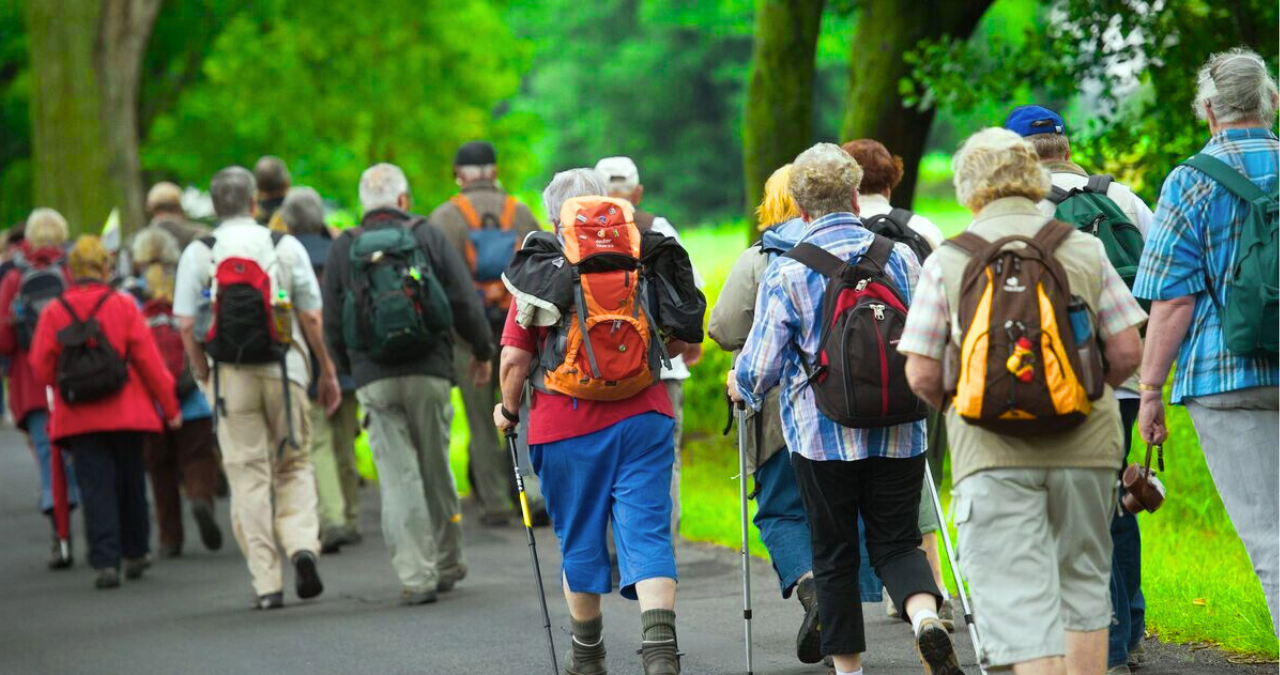 Warum höhere Sozialbeiträge ernsthaft unser Wirtschaftssystem und den sozialen Zusammenhalt prägen 2 Untitled design 47