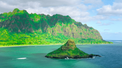 Titel: Wo wurde „Where Was 50 First Dates Filmed“ gedreht? Enthüllungen über Drehorte, Hintergründe und Kurioses 8 Where Was 50 First Dates Filmed